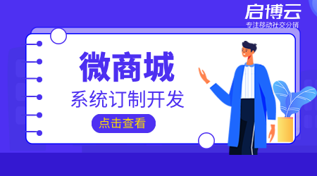 微商城系统系统是怎么运作的？微商城系统定制开发要注意什么-1